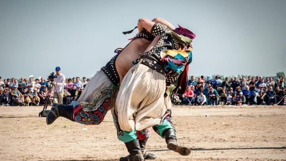 Von Hohhot: 8-tägige private Tour durch die Innere Mongolei nach Ordos