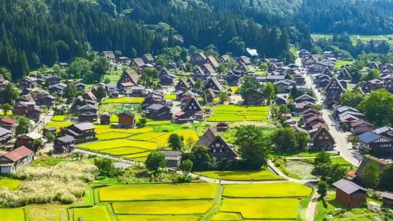 高山発:濃飛バスで行く白川郷・五箇山バスツアー