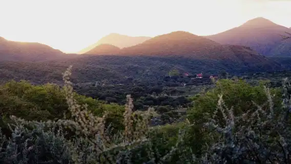 วินด์ฮุก: Dustenbrook Scenic Game Drive