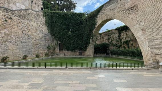 Tour xe đạp có hướng dẫn tham quan Phố cổ Palma de Mallorca