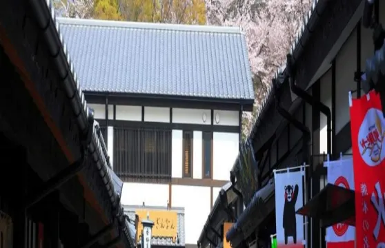 日本阿蘇熊本機場 - 熊本市區穿梭巴士票 + Wakuwaku 1日通票54509