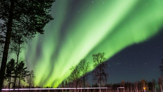 Northern Lights Hunting on Snowshoes