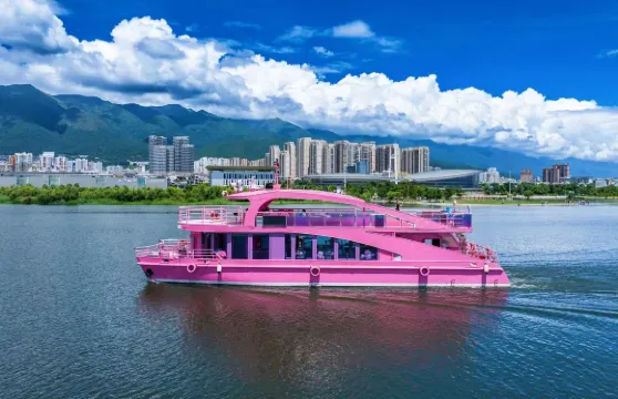 洱海遊船風花雪月號成人