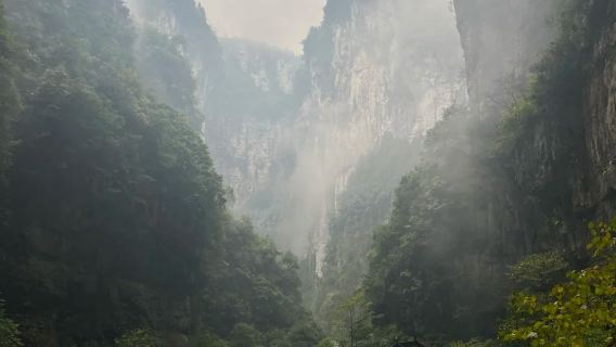 【VIP2-8人團】武隆天生三橋+龍水峽地縫+畫廊觀景一日遊