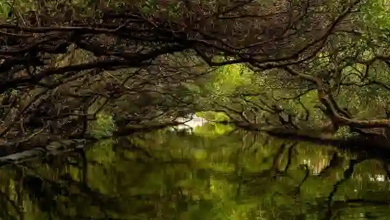 安平古堡、老街、遊船一日遊