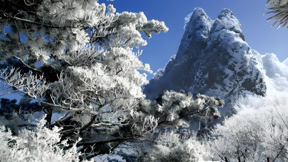 однодневный тур в национальный лесопарк Лафашань в Чанчуне|Откройте для себя загадочные горы Гуаньдуна и разгадайте геологические чудеса возрастом в миллионы лет