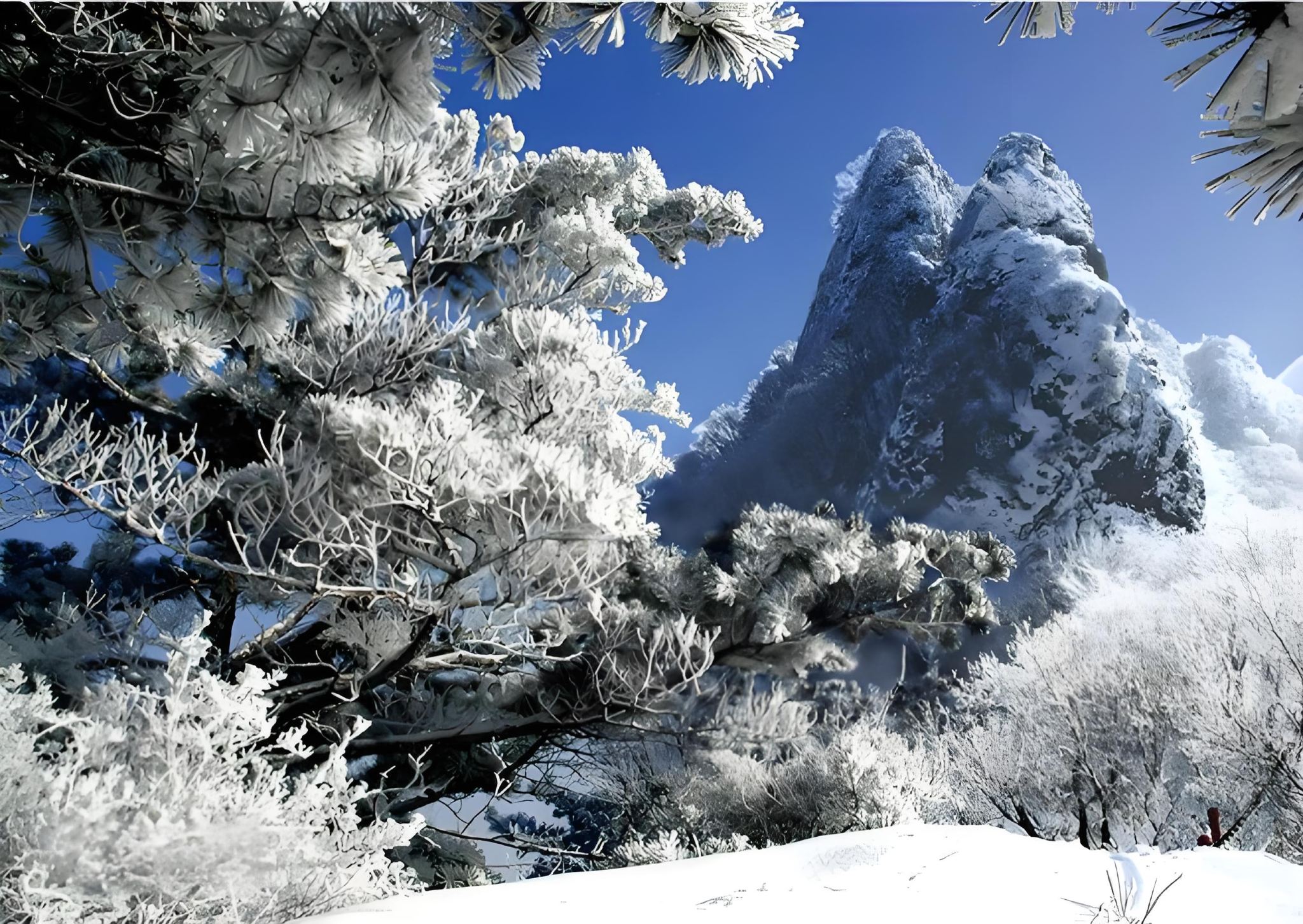 Changchun La Fa Mountain National Forest Park 1-day tour|Explore the mysterious mountains of Guandong and unlock geological wonders from a billion years ago