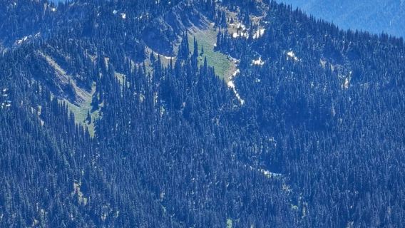 西雅圖-班布里奇島-奧林匹克國家公園-颶風崖-新月湖 一日遊