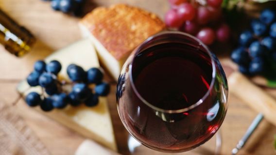 Reguengos Full-Day Wine Tour