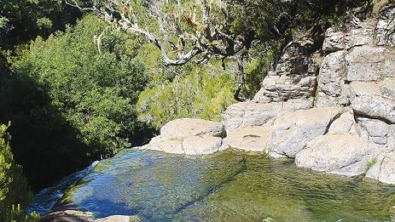 Lakes of Madeira - Lagoa D. Beja