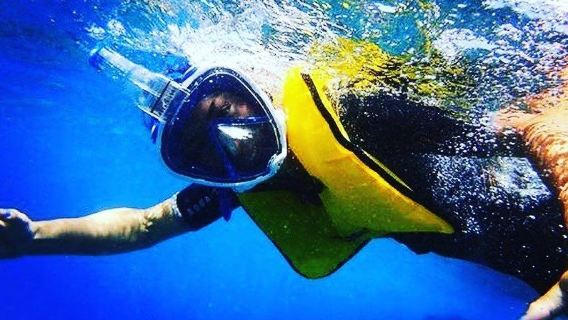 Full Face Snorkelling