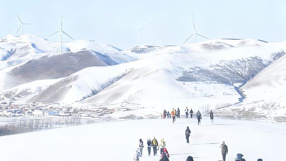 樺皮嶺踏雪健行1日【精華版9km健行+新手友善+森林與雪景】