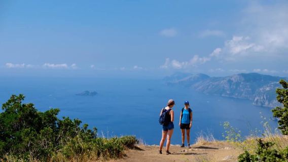 Ab Sorrent: Geführte Wanderung auf dem Pfad der Götter mit Transfer