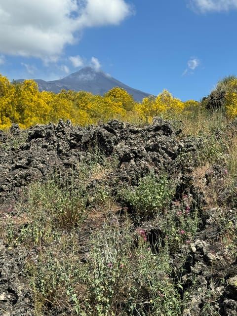 Mount Etna: Etna 4x4 Jeep Tour Half-Day Morning