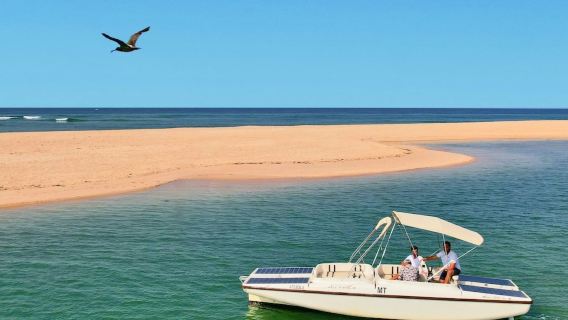 ริอา ฟอร์โมซา: ทัวร์ล่องเรือเชิงนิเวศพร้อมชมนกจากฟาโร