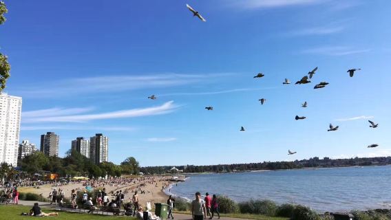 ทิวทัศน์เมืองแวนคูเวอร์สุดพิเศษที่ควีนอลิซาเบธปาร์ค + แคนาดาเพลส + สแตนลีย์พาร์ค