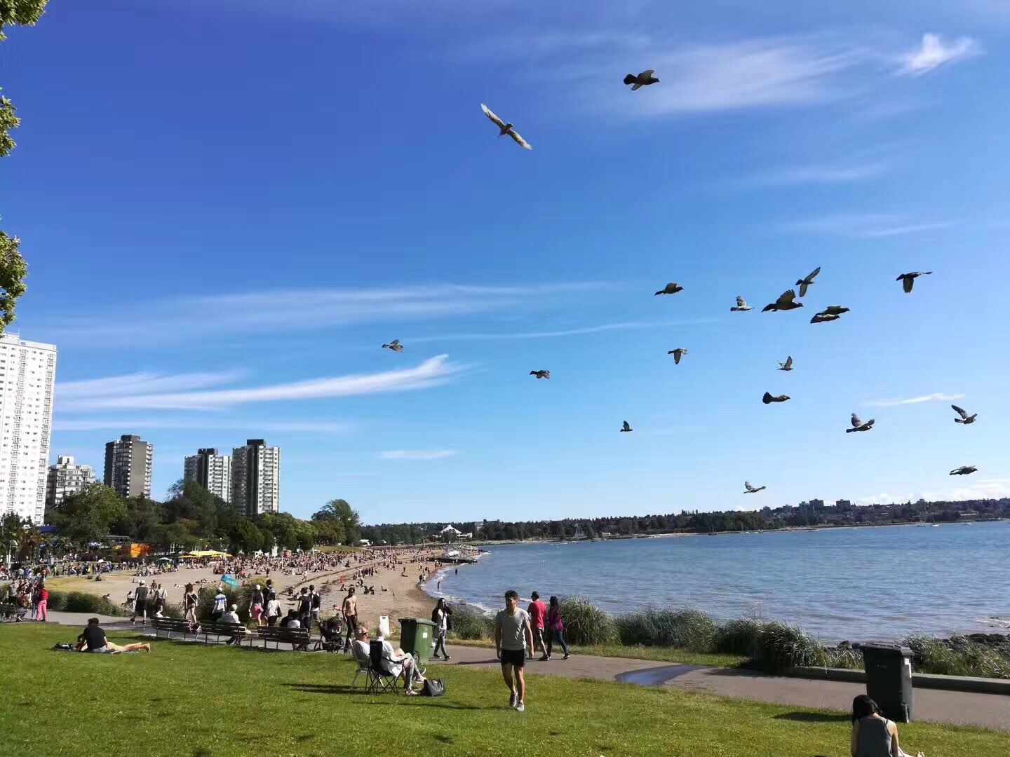 Exklusive Vancouver-Stadtpanorama mit Queen Elizabeth Park, Place du Canada und Stanley Park