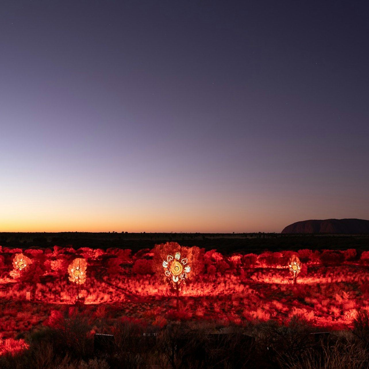 Uluru: tour all'alba + trasferimenti + audioguida + colazione