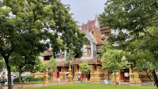 Xishuangbanna|Lembah Gajah Liar + Taman Manggis + Pasar Malam Sungai Mekong