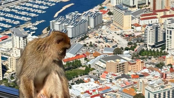 Malaga andata e ritorno: tour giornaliero a Gibraltar [opzione aggiuntiva tour della Rocca]