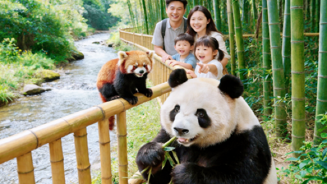 2-8人精講團◆含門票無自費◆都江堰+熊貓谷藍眼淚純玩一日遊