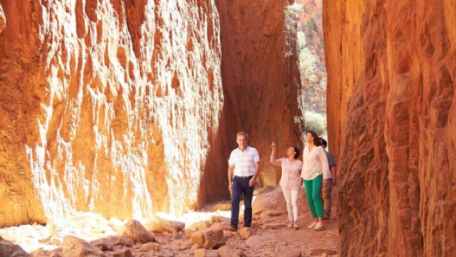 Alice Springs Highlights and Nature Escape Day Tour
