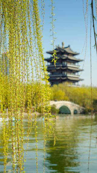 Jinan, Shandong: Private customized 1-day tour | Flexible itinerary | Private charter for a worry-free journey