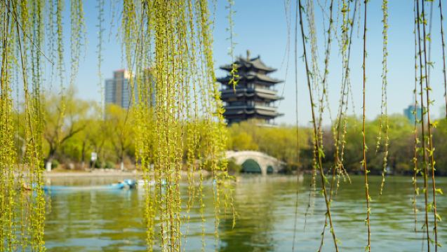 Jinan, Shandong: Private Customized 1-Day Tour | Guide | Attraction Guide | Private Charter | One Booking One Group