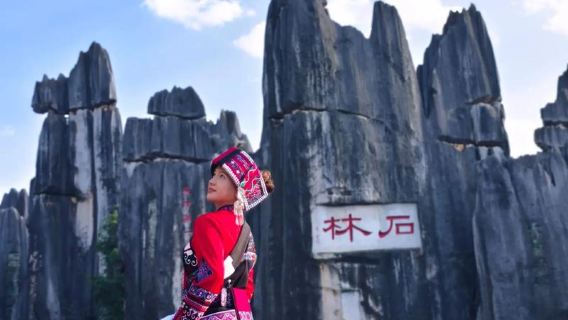 石林+九郷 純粋観光ワンデーツアー【4-8名様ビジネスツアー】貸切チャーター/相乗り ホテル送迎付き