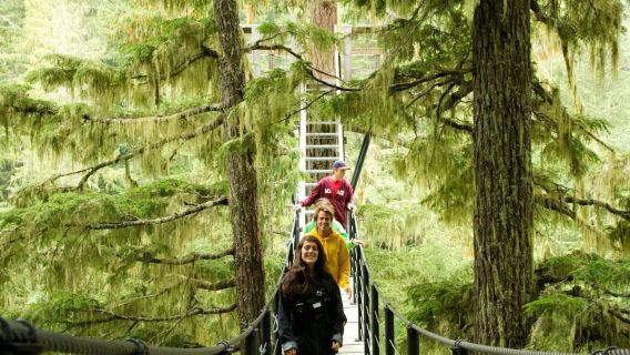 Whistler ZipTrek Ecotours: TreeTrek Adventure