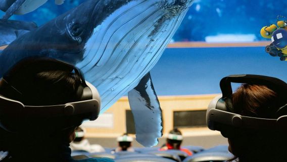 Oceanogràfic de Valencia: Entry Ticket + Mixed Reality Experience