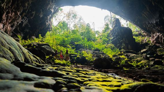 PHONG NHA - SEIKKAILEVI MATKA JUNGLEEN