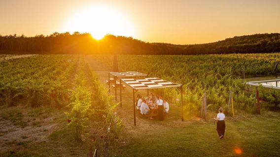 Montepulciano: Tuscan Winery Tour and Halloween Dinner