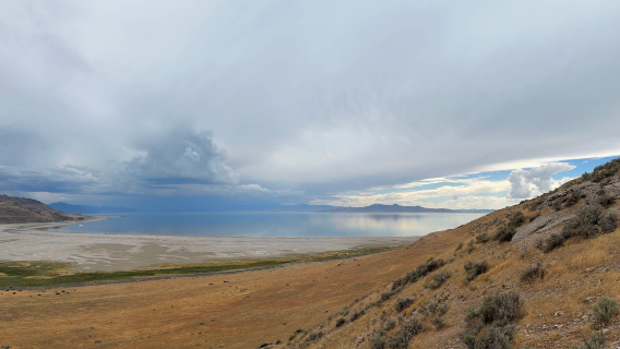 Amerika Syarikat Salt Lake City - Great Salt Lake - Taman Negeri Pulau Antelope - Pantai [Kereta Khas - Kebebasan Penuh]