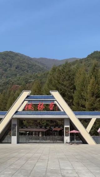 本溪桓仁楓林谷森林公園一日遊【本溪當地】