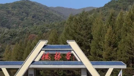 本溪桓仁楓林谷森林公園一日遊【本溪當地】