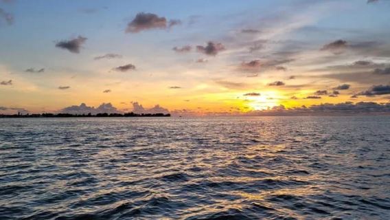Anna Maria Island: Crucero al atardecer con avistamiento de delfines