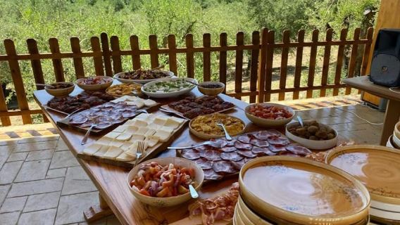 Guided Olive Oil Farm, Calabrian Lunch & Nicotera Tour