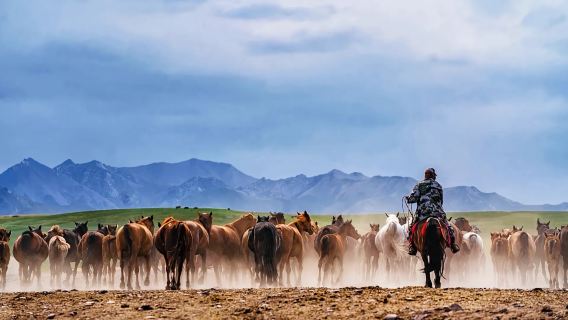 Zhangye + Biandukou + Ladang Kuda Tentera Kaunti Shandan lawatan sehari (Perkhidmatan cemerlang | Hiburan tulen | Tiada helah)