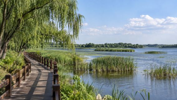 1-day tour to PALACE MUSEUM OF THE PUPPET MANCHUKUO + Beihu Wetland Park + Wanshou Temple