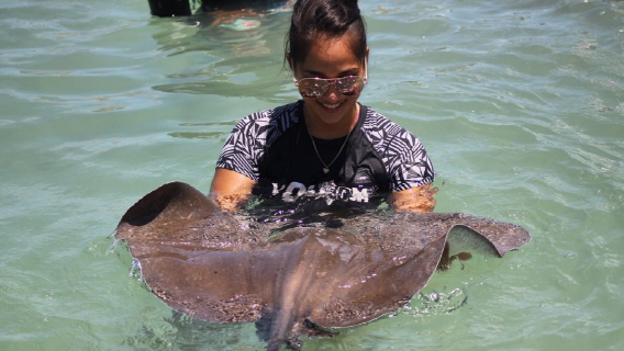 Pengalaman interaksi dengan hewan laut dan snorkeling di Saipan