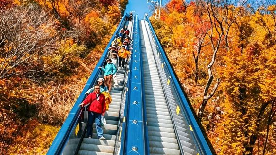 Hanzhong Longtou Mountain private chartered tour