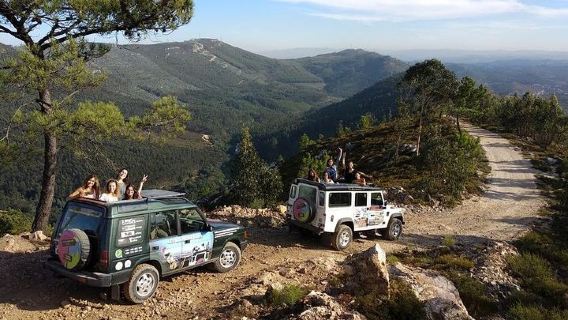 Peso Da ReguaTours