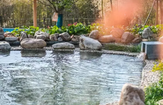 京山玉瓏溫泉票成人