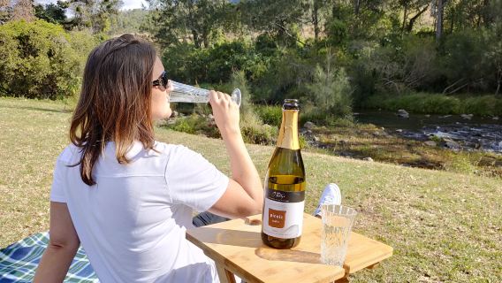 Gold Coast Remington + O'Reilly + Vineyard + Treetop Walk 1-day Tour