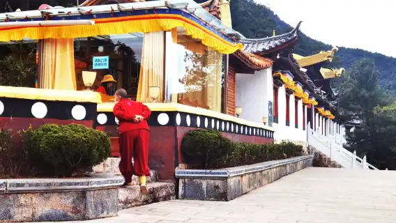 Lijiang + Blue Moon Valley + Baisha Ancient Town + Wenhai Lake 1-day tour [Lijiang private charter self-guided tour]