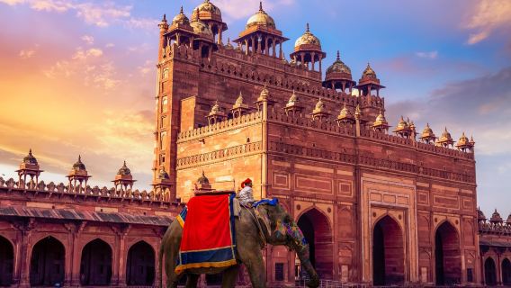 Drop Agra City with Visit Bharatpur Bird Sanctuary & Fatehpur Sikri from Delhi including Guide.