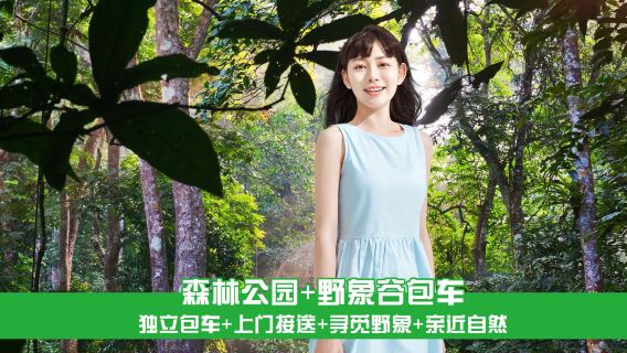 西雙版納野象谷+原始森林公園一日遊【獨立包車 | 純玩自由】