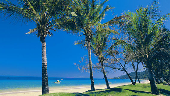 Port DouglasTours