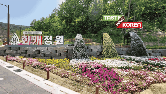 ทัวร์วันเดียว/ทัวร์หลายวัน เกาะคังฮวาในอินชอน เกาหลีใต้